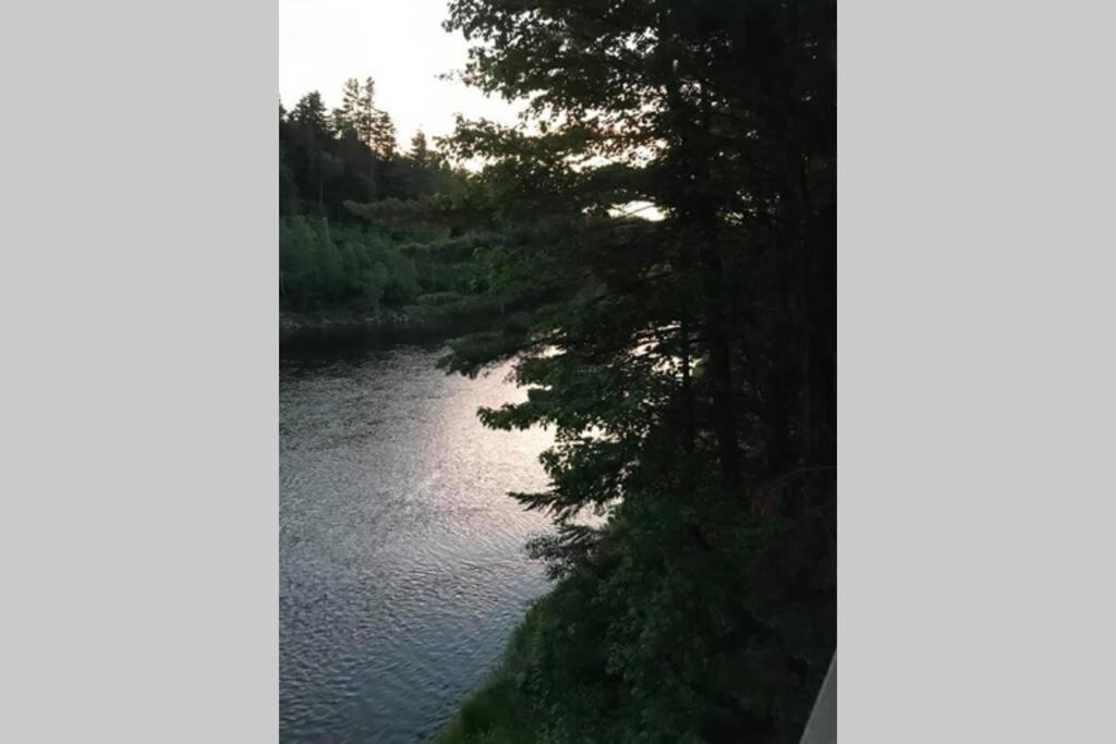 Riverfront Rustic Cottage Durham Bridge Extérieur photo